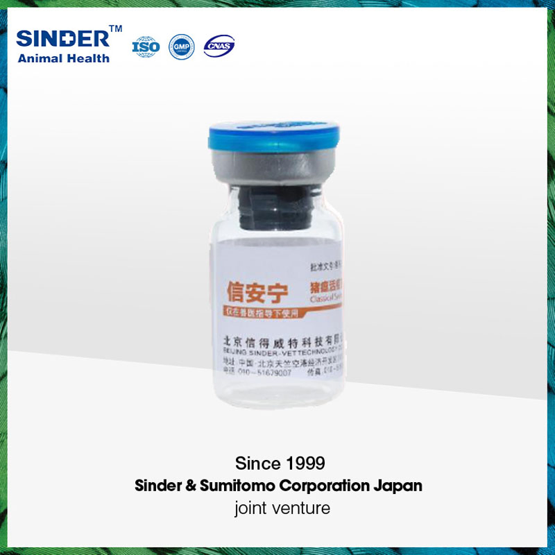 Swine Vaccine for Pig Use, Live