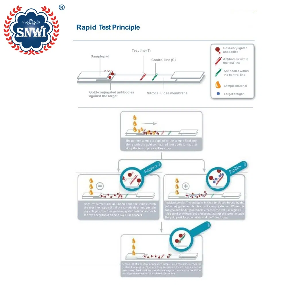 Rapid Test Selection