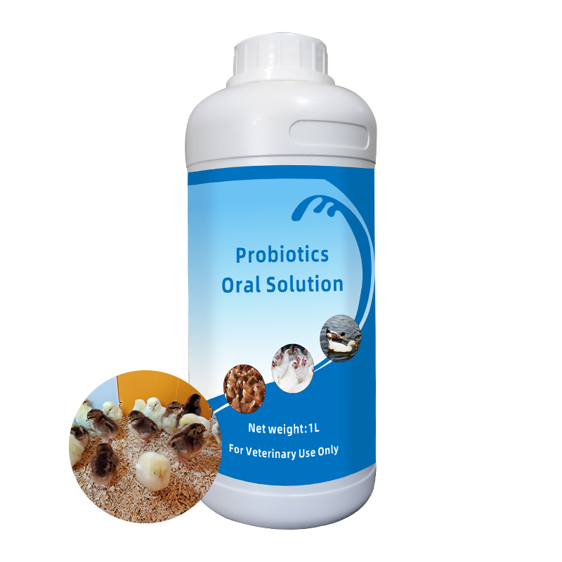 Enzyme Oral Solution Probiltics Enzyme Reduce Morbidity and Mortality Reduce Total Drug Costs