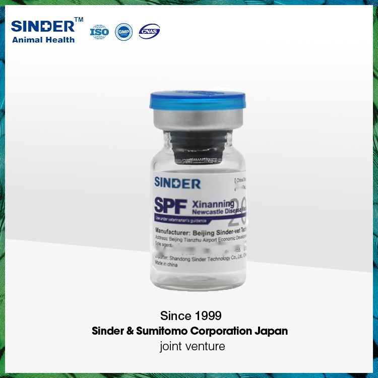 Infectious Bursal Disease Ibd Poultry Vaccine (Strain B87) for Bird Use