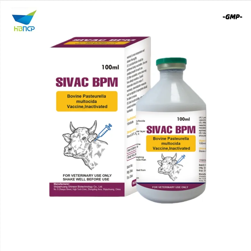 Bovine Pasteurella Multocida Vaccine