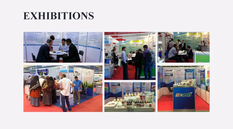 Iron Dextran Injection 3