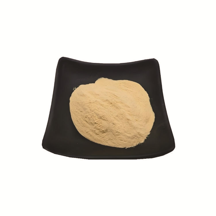 Antiviral Drug Remdesivi CAS 1809249-37-3