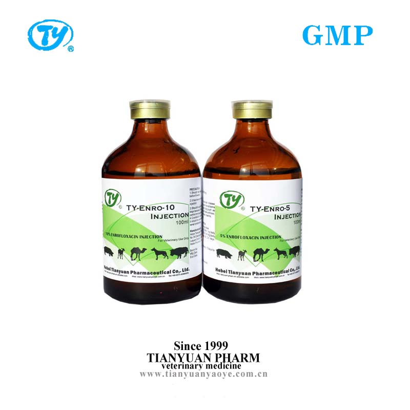 Hot Sale Enrofloxacin Injection 10% Veterinary Medicine Drug for Cattle Sheep Goats Horse Poultry Use