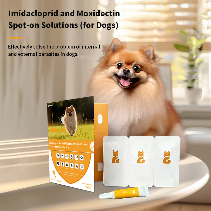 Best Dog Wormer Imidacloprid and Moxidectin Spot-on Solutions Worm Medicine for Dog Worming