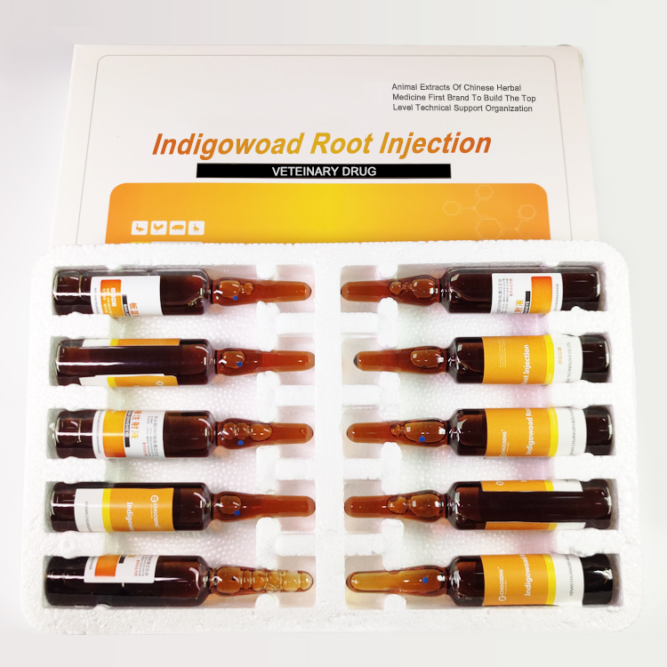 Veterinary Drugs for Respiratory Diseases: Radix Isatidis Injection for Antibacterial, Antiviral, and Immune Regulation