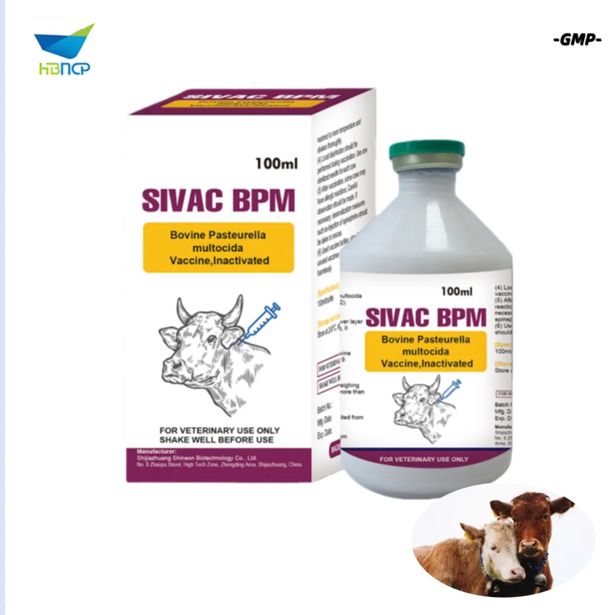 Factory Price GMP Manufacturer Veterinary OEM Bovine Pasteurella Multocida Vaccine Inactivated for Cattle