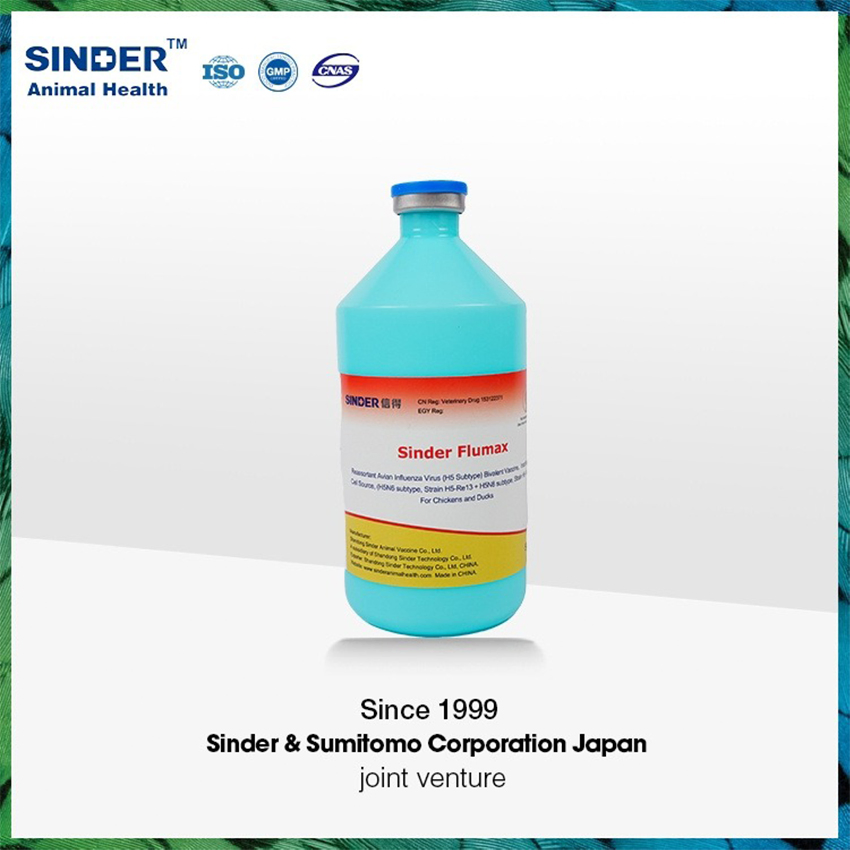 Bird Vaccine AVI H5n6 Strain H5-Re13+H5n8 H5-Re14 for Poultry Use 500ml/Bottle