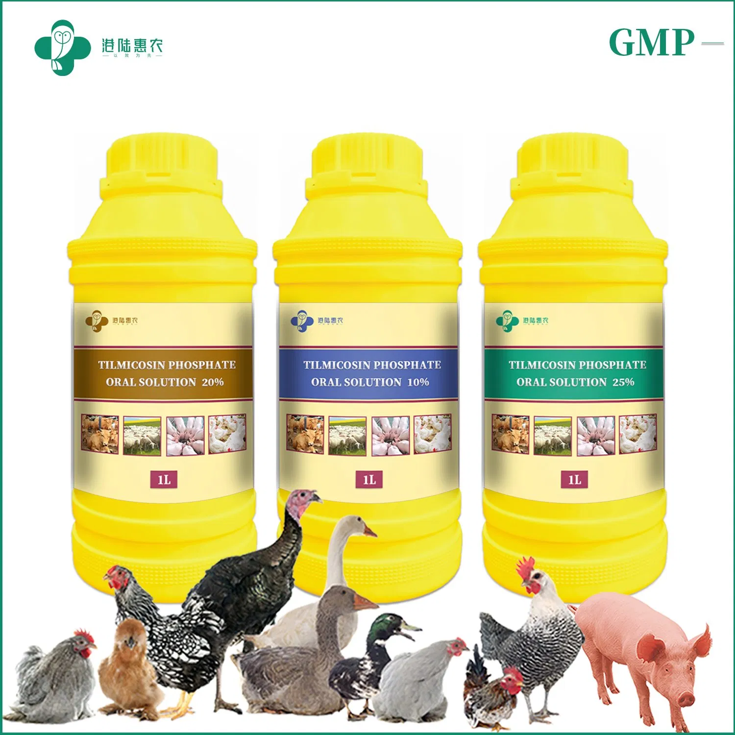Hot Sale Antibiotic Medicine Tilmicosin Phosphate Oral Solution 10% 20% 25% Veterinary Medicine Drug for Cattle Sheep Chicken Poultry