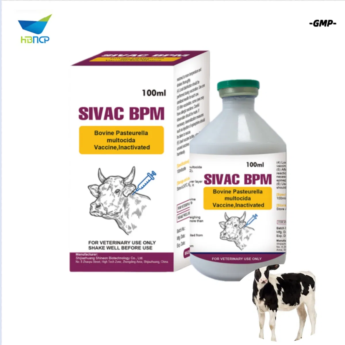 Factory Price GMP Manufacturer Veterinary OEM Bovine Pasteurella Multocida Vaccine Inactivated for Cattle