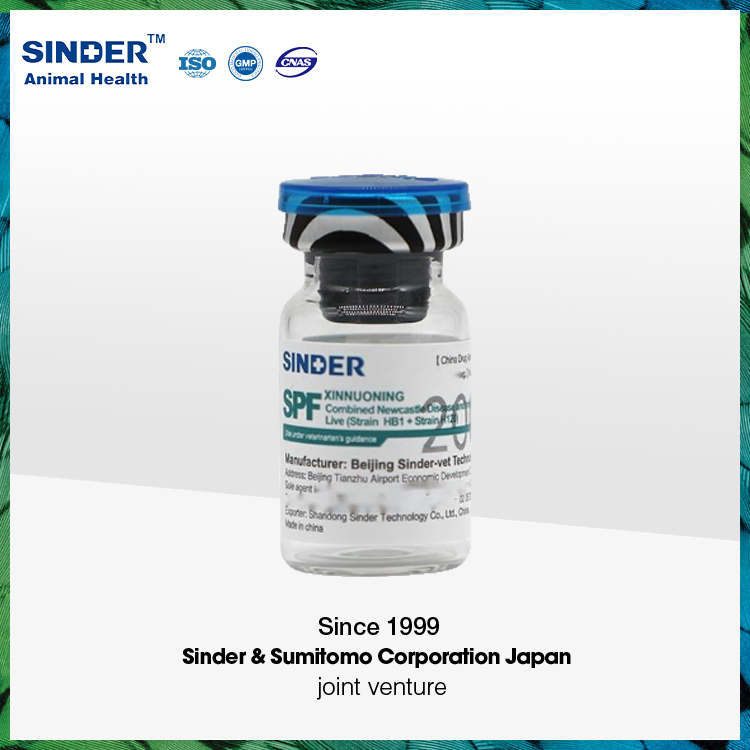 Newcastle Disease Live Vaccine for Poultry Bird Chicken Duck Use