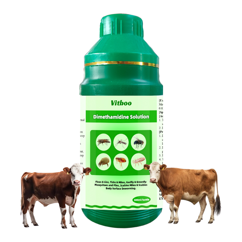 Multivitamin Injection for Animal Use Supplement Veterinary Drug