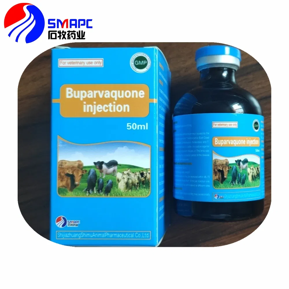 Buparvaquone Injection 2