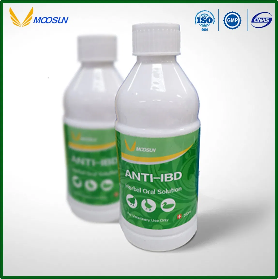 Herbal Medicine Anti-Flu Herbal Oral Solution Veterinary Drug