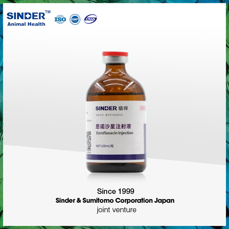 Enrofloxacin Injection Veterinary Medicine Drug for Animal Use