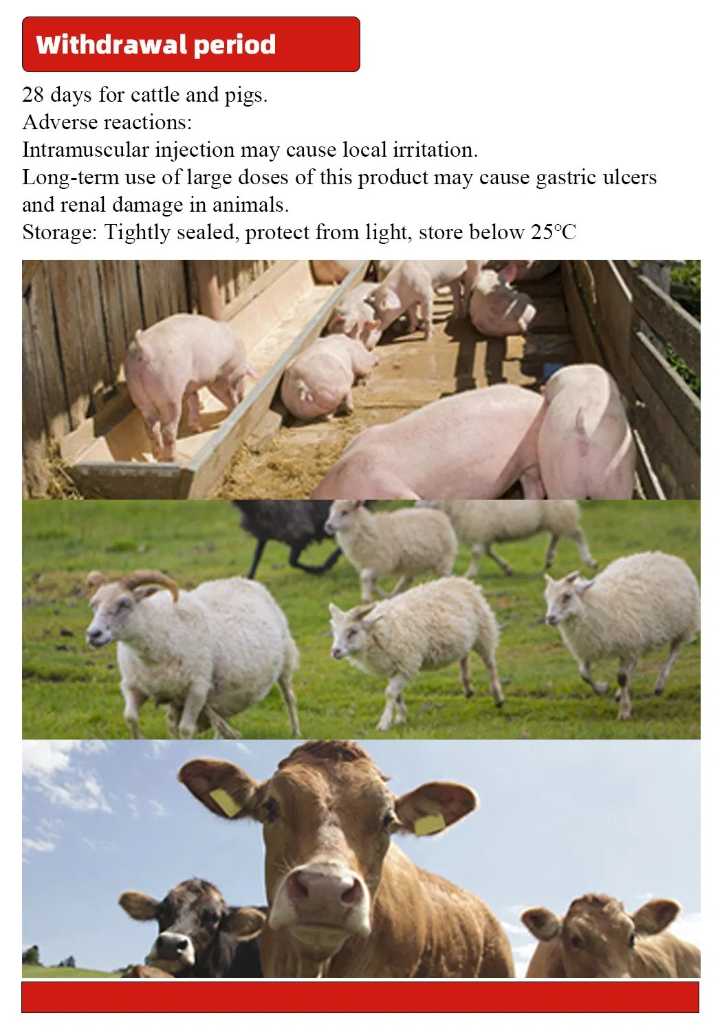 Flunixin Meglumine Injection Anti-Inflammatory Drug for Cattle Pig Medicine