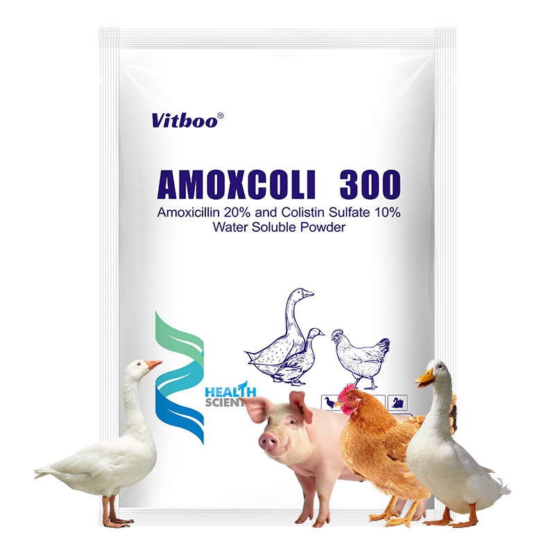 Viboo Veterinary Drugs Powder for Chicken Poultry Anti-Flu Powder