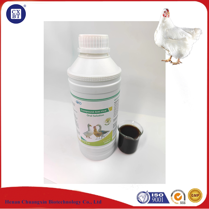 Effective Antiviral Solutions for Poultry Health From Factory