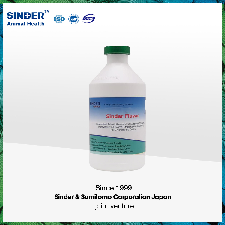 Bird Vaccine AVI H5n6 Strain H5-Re13+H5n8 H5-Re14 for Poultry Use 500ml/Bottle