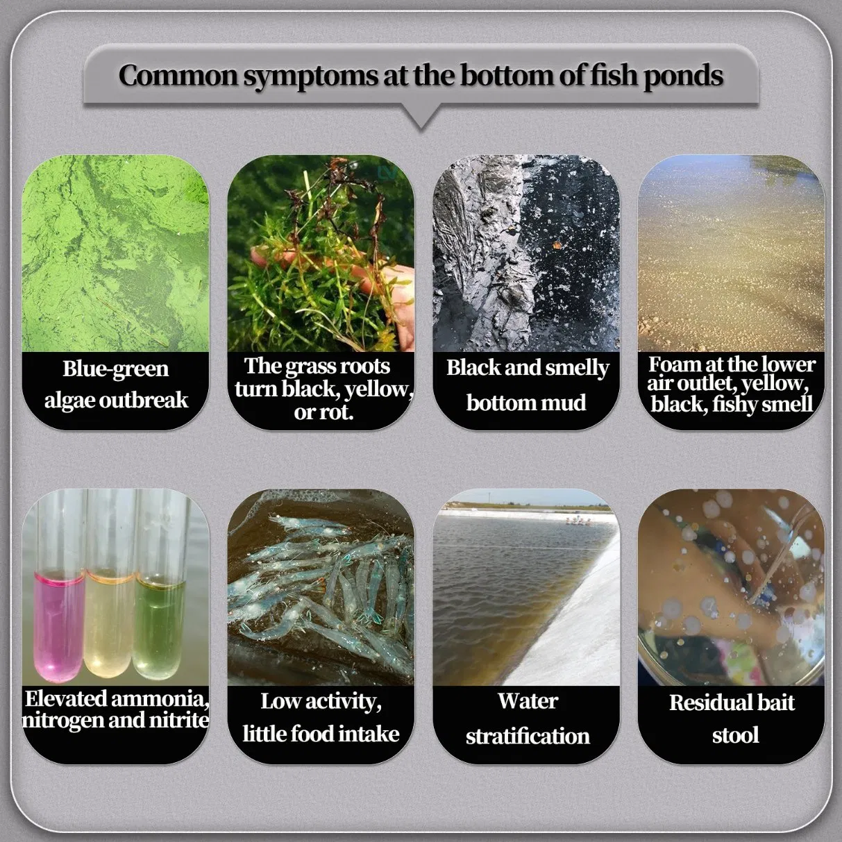 Aquaculture Veterinary Drug Water Quality Improver Oxygen Tablet 35%Potassium Persulfate Used Promote Health and Water Quality for Fish Shrimp Crab Sea Cucumber