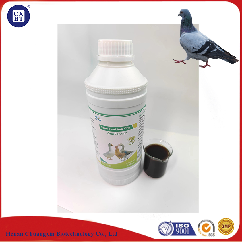 Premium Antibacterial and Antiviral Veterinary Drugs for Poultry