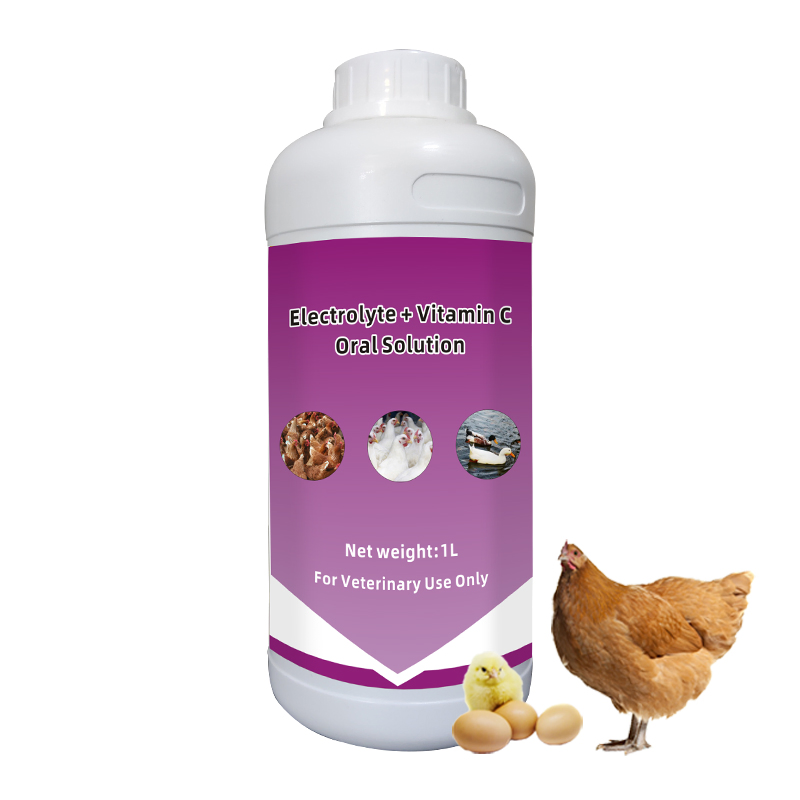 Enzyme Oral Solution Probiltics Enzyme Reduce Morbidity and Mortality Reduce Total Drug Costs