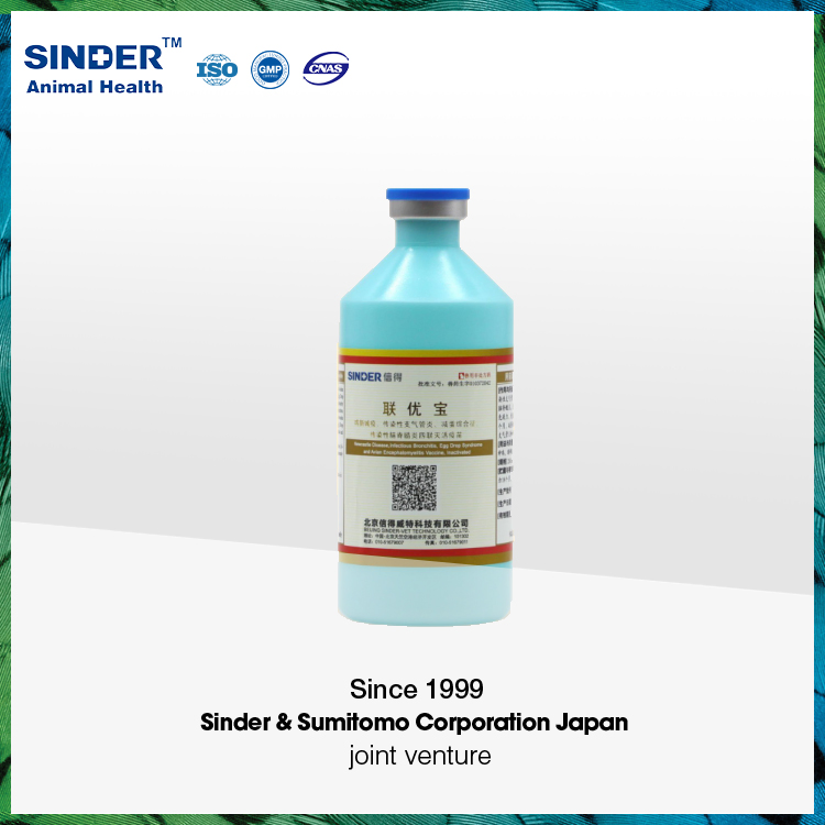 Avian Influenza H5 Re6+Re8 Vaccine for Poultry Use 500ml/Bottle