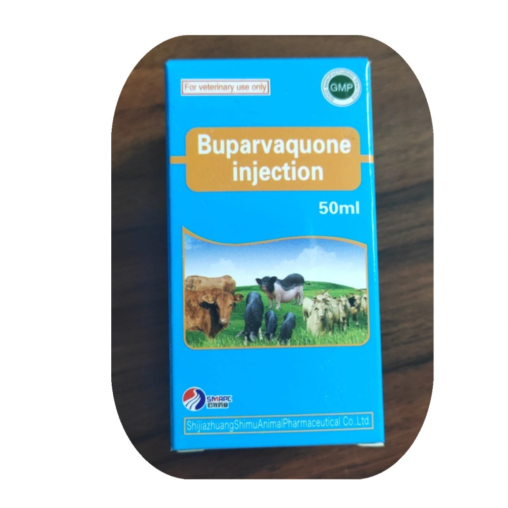 Veterinary Drugs of 5% Buparvaquone Injection (50ml/100ml)