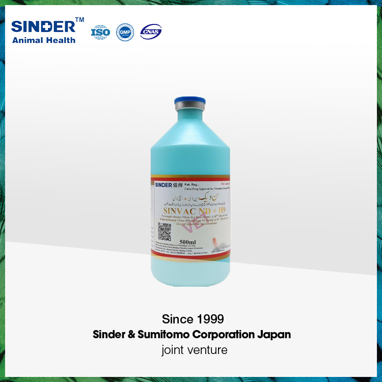 Avian Influenza H5 Re6+Re8 Vaccine for Poultry Use 500ml/Bottle