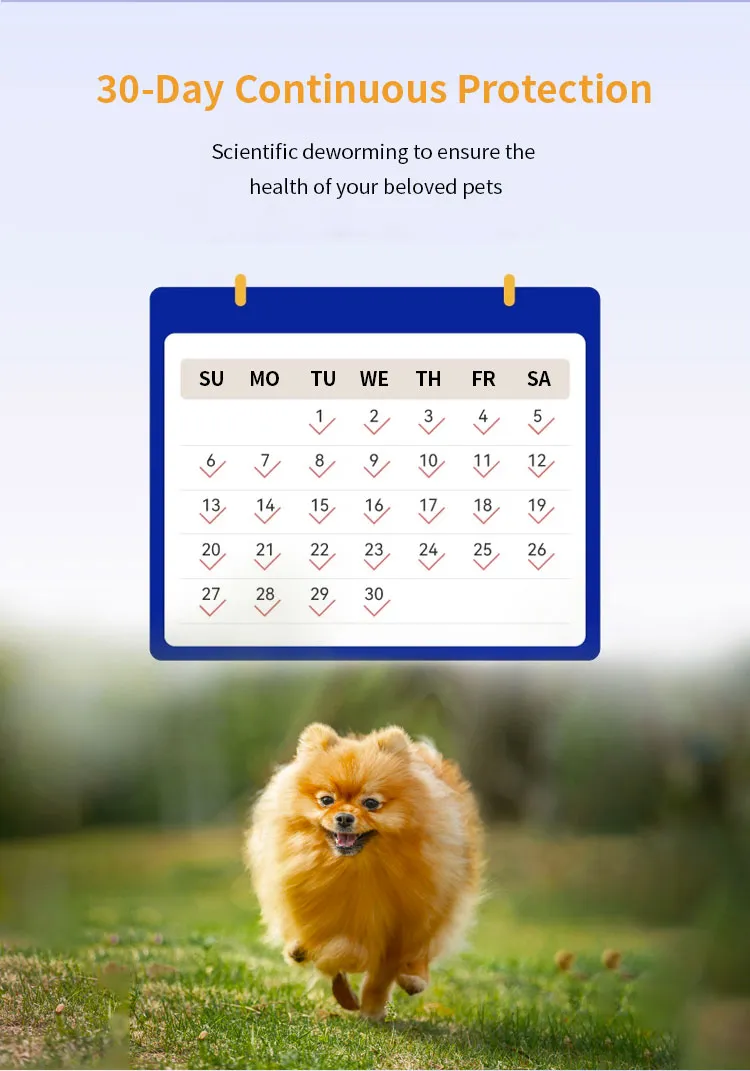 Dog Wormer Solution 7