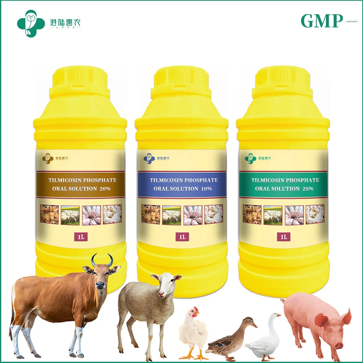 Shanghai Ganglu Huinong Biotechnology Tilmicosin Phosphate Oral Solution 10% 20% Veterinary Drug for Cattle Sheep Pig Poultry