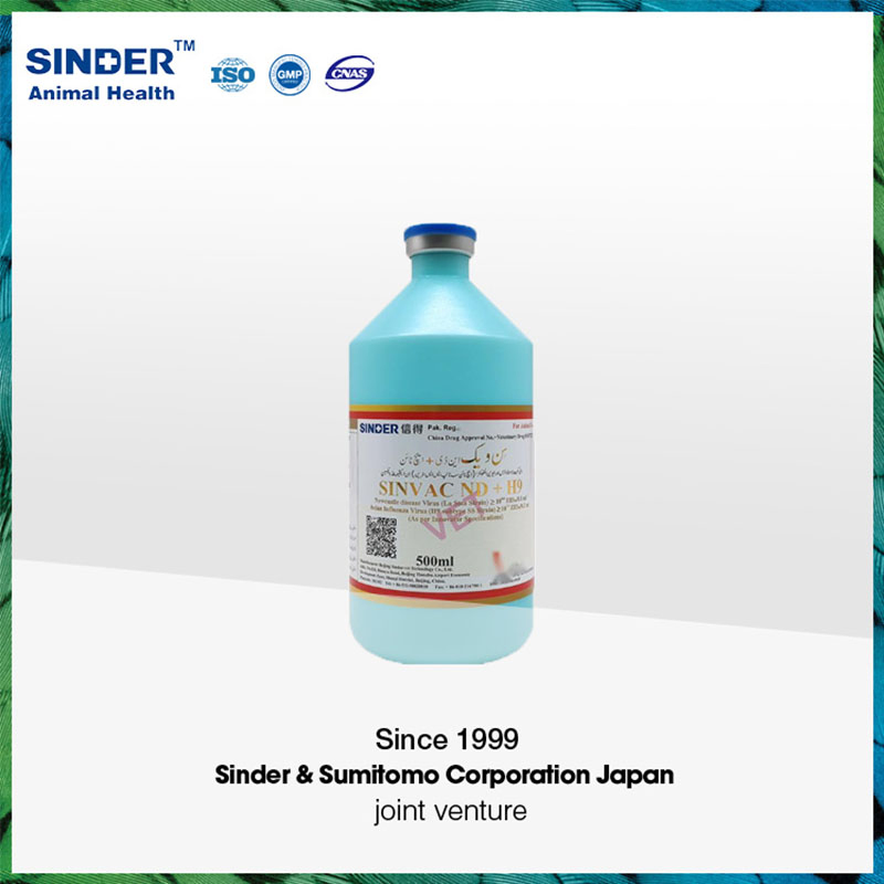Veterinary Vaccine Infectious Coryza Serotypea Serotypeb Serotypec Killed Vaccine