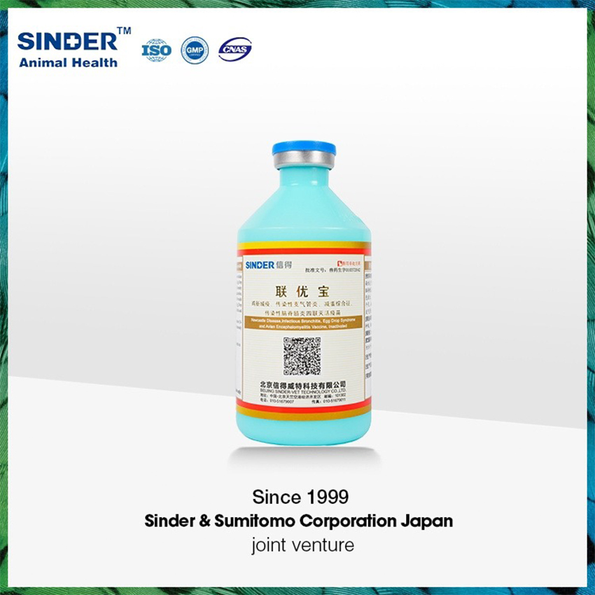 Chicken Vaccine Newcastle Disease Infectious Bronchitis Egg Drop Syndrome for Poultry Use