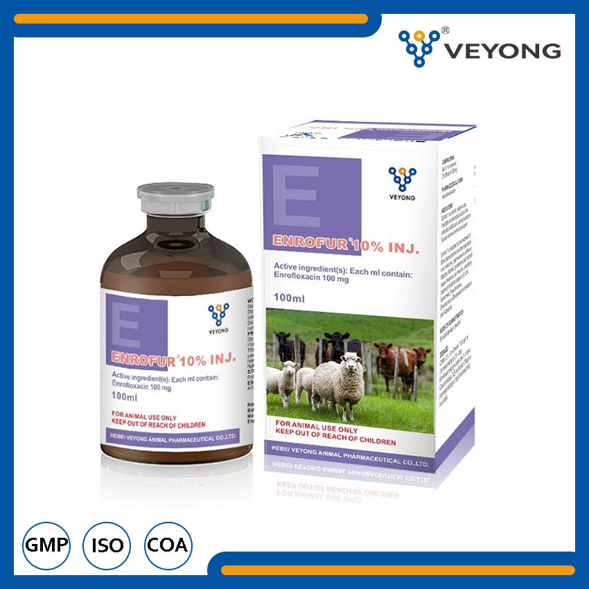 Colistin &amp; Enrofloxacin Oral Liquid Veterinary Medicine Drug for Cattle Sheep Goats Horse Poultry Use