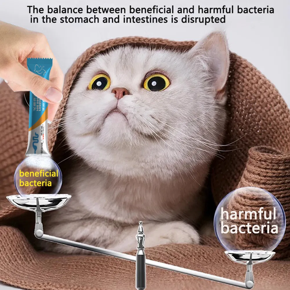 Pet Probiotics Protect The Stomach and Intestines of Cats and Dogs and Help Pets Digest
