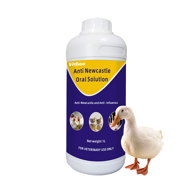 Vitboo Liver Tonic Oral Solution Protect Kidney Prevent Disease Poultry Drugs