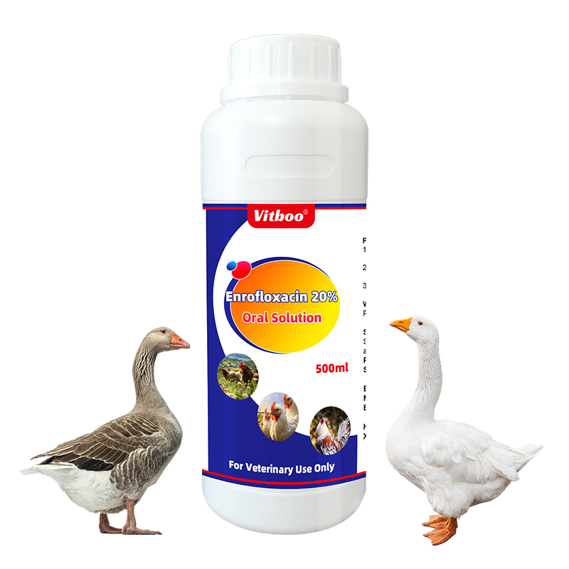 Vitboo Poultry Medicine 2.5% Diclazuril Oral Solution Anticoccidial Antibiotics Liquid Drug