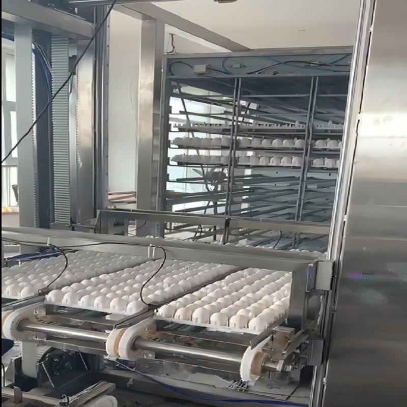 High-Speed Robotic Equipment for Efficient Egg Removal in Vaccines