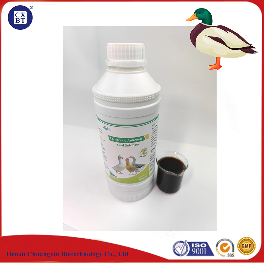 High Quality Veterinary Animal Drugs: Antibacterial and Antiviral Drugs for Poultry