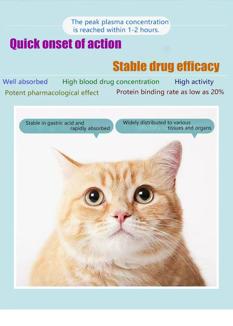 Cefadroxil Tablets &amp; Anti-Inflammatory Drugs, Respiratory Tract Infections, Urinary Tract Infections