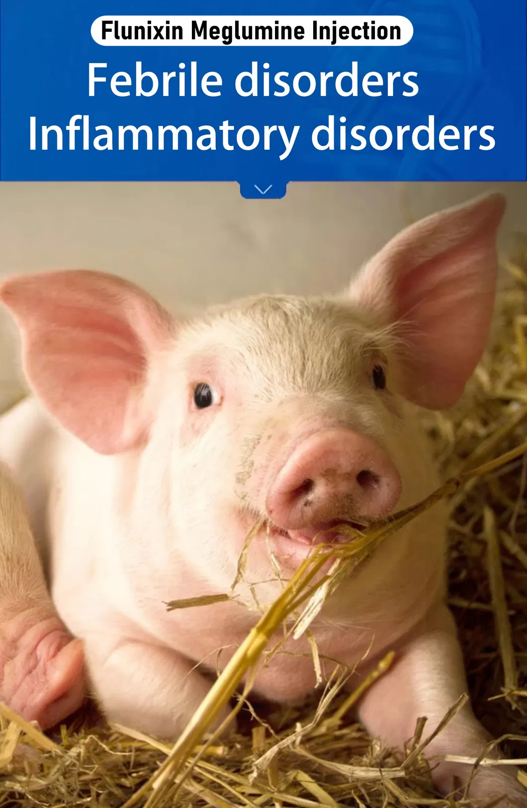 Packaging Box Detail