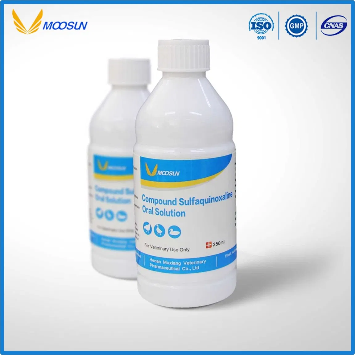 Veterinary 10% 20% Enrofloxacin Oral Solution Animal Drugs