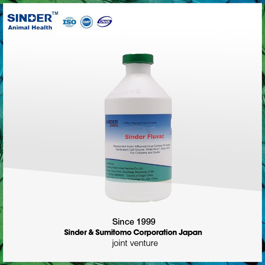 Avian Influenza H5 Re6+Re8 Vaccine for Poultry Use 500ml/Bottle