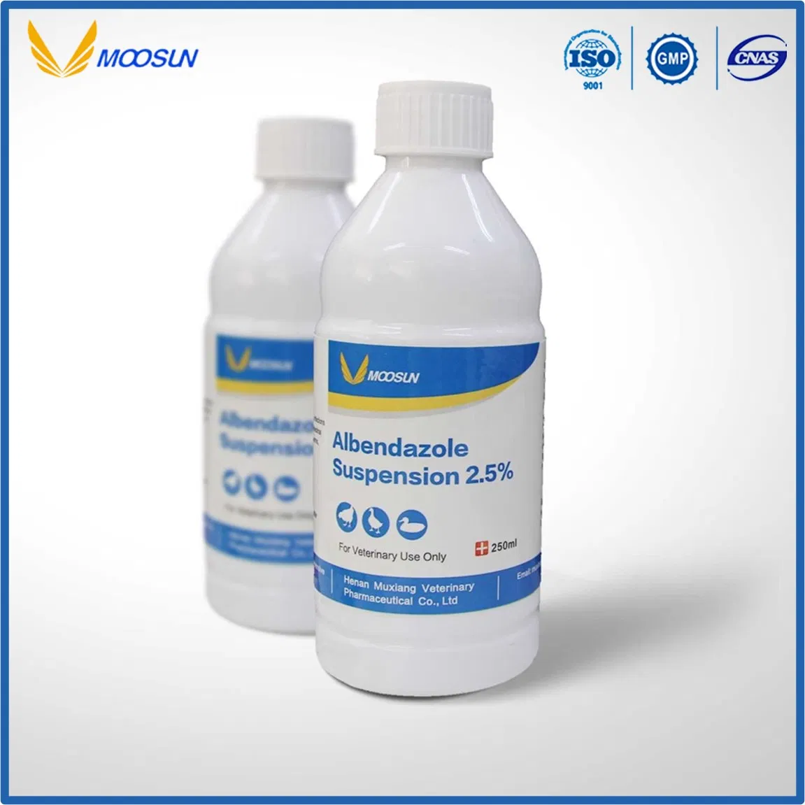 Factory Supply Veterinary Drug 25% Tilmicosin Oral Solution with GMP and ISO
