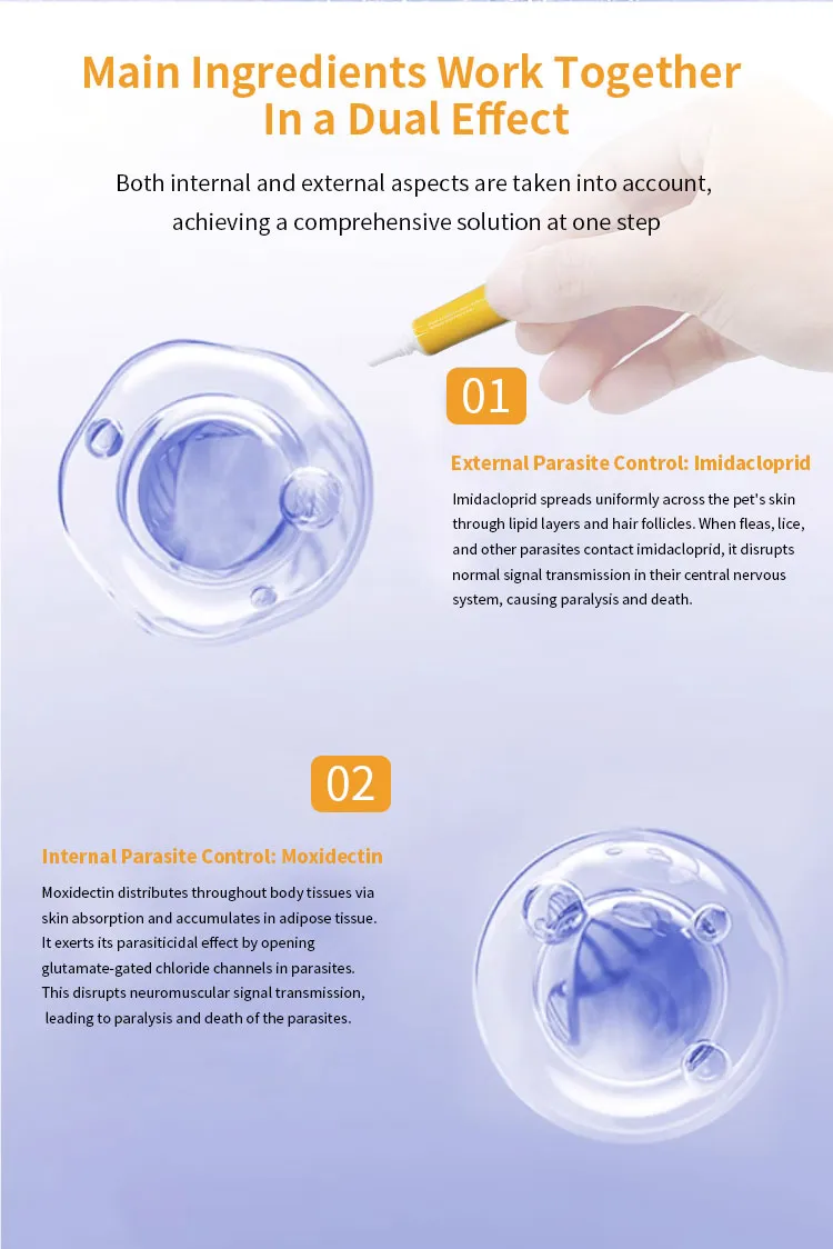 Dog Wormer Solution 6