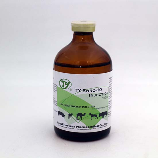 Hot Sale Enrofloxacin Injection 10% Veterinary Medicine Drug for Cattle Sheep Goats Horse Poultry Use