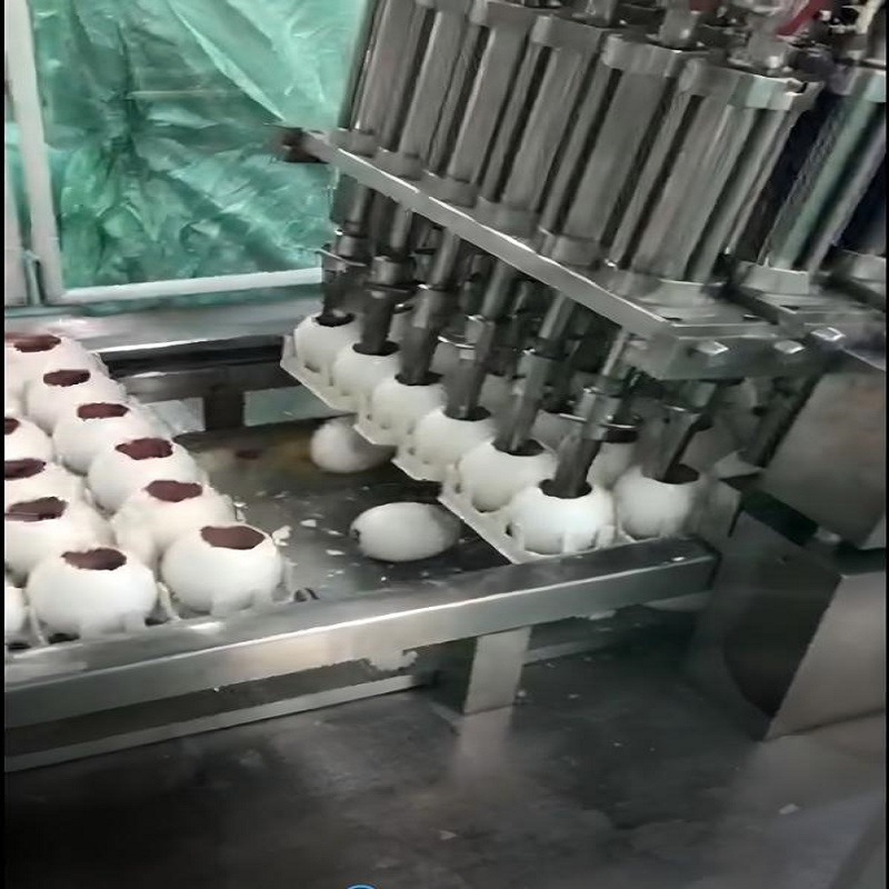High Efficiency and Sanitary Egg - Tray Unloading for Egg - Based Vaccine