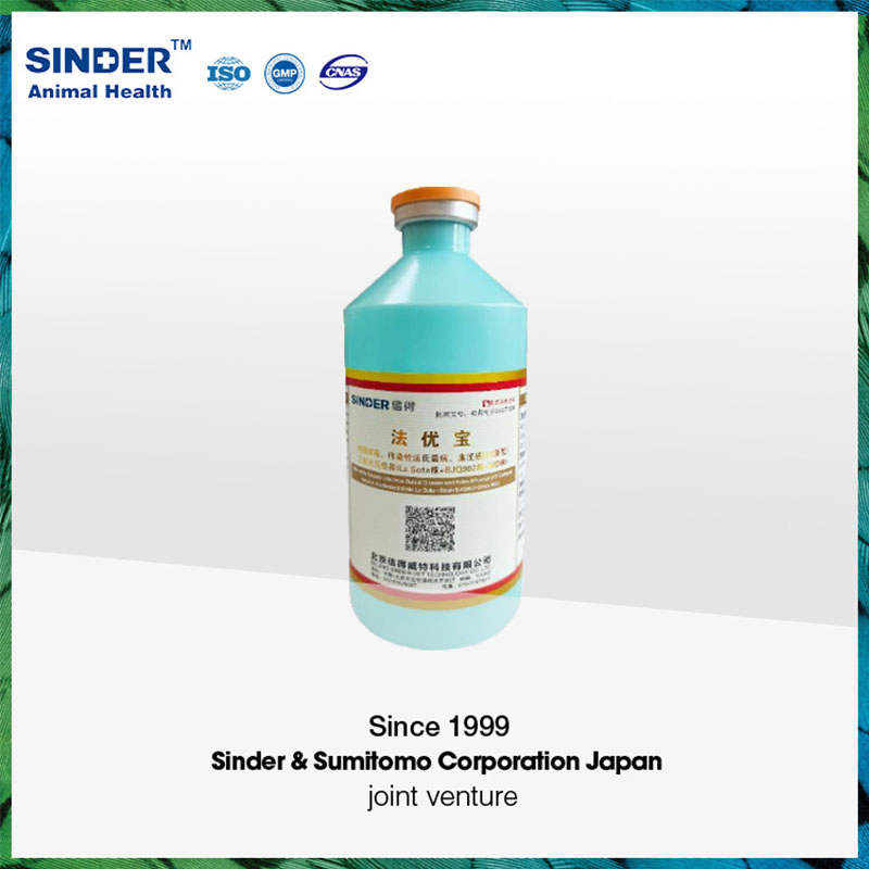 Veterinary Vaccine Infectious Coryza Serotypea Serotypeb Serotypec Killed Vaccine