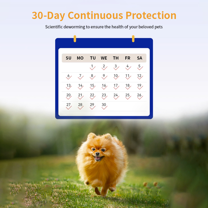 Spot-on Solutions Imidacloprid and Moxidectin Topical for Dogs Under 4kg