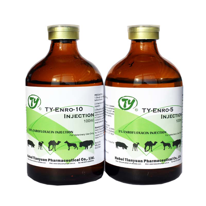 Hot Sale Enrofloxacin Injection 10% Veterinary Medicine Drug for Cattle Sheep Goats Horse Poultry Use